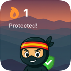 iOS 18 Home Screen Widget for language streaks